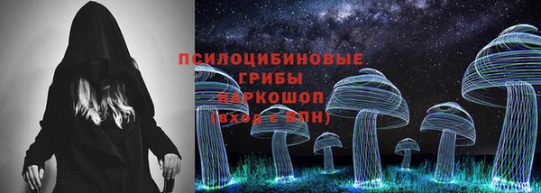 дмт Алзамай