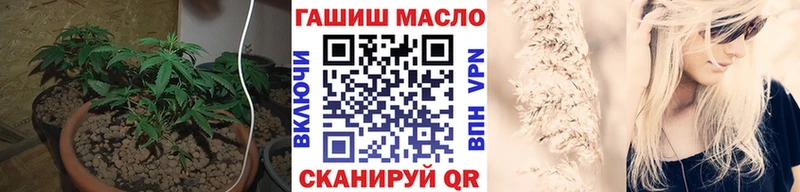 Дистиллят ТГК гашишное масло omg онион Рошаль хочу